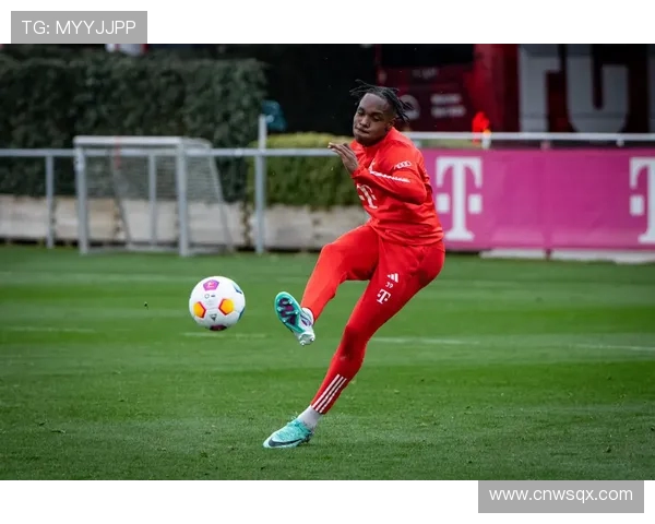 德甲球队波鸿队的外号来源及球队文化介绍 德甲球队波鸿队的外号来源及球队文化介绍